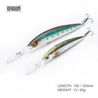 ราชอาณาจักรใหม่Jerkbaits 100DRเหยื่อตกปลา100มิลลิเมตร120มิลลิเมตรเหยื่อปลาซิวแบบพยุงตัวWobblersความลึก6-10ftยาวหล่อเบสหอกฮาร์ดเหยื่อ