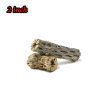 Cholla Wood 2inch Size SS ซื้อ 5 ชิ้น แถม 1 ชิ้น เหมาะสำหรับ พันไม้น้ำ และตกแต่งตู้ให้ดูเป็นธรรมชาติ เหมาะกับตู้ Nano