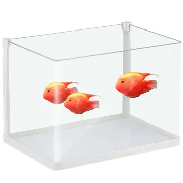 50Cm Fish Tank - Best Price In Singapore - Aug 2023 | Lazada.Sg
