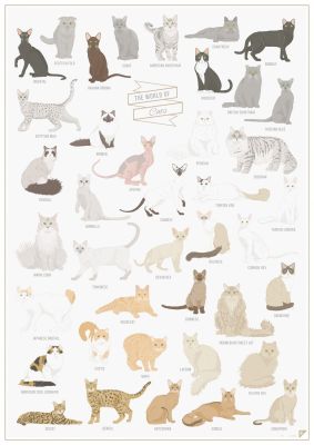 Hot The World Of Cats Art Silk Poster พิมพ์24x36inch