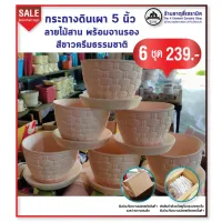 กระถางดินเผา 5 นิ้ว ลายไม้สาน พร้อมจานรอง สีขาวครีมธรรมชาติ 6 ชุด 239.-(ลายสานหมด/รับลายลีลาวดีแทน)