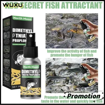 Fish Bait Food Attractant  Concentrated Red Worm Liquid Fishing Lures Baits ,Fish Bait Attractant from Live Baits, Fish Lure Additive Powder, Bait Food  Attractant for Lures and Baits Kroren : : Sports
