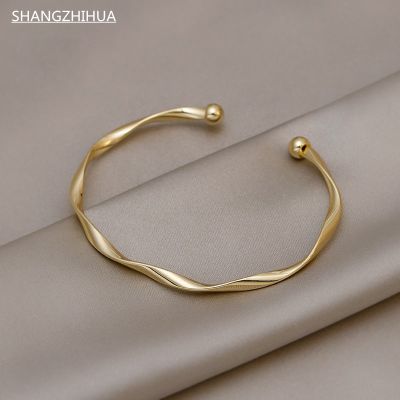 Classic Premium Retro Style Twisted Twist Metal Bracelet for Women 2021 Trend Girls Unusual Jewelry Gift Accessories