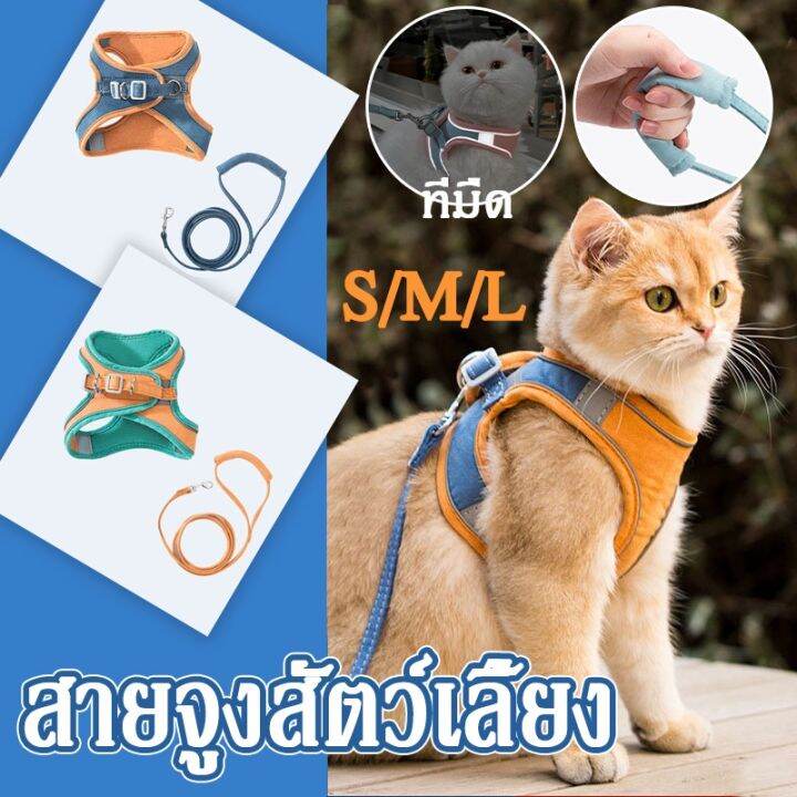 ewyn-cod-สายจูงสัตว์เลี้ยง-ใหม่-colorful-reflective-สายจูงแมว-สายจูงหมา-ปลอกคอแมว