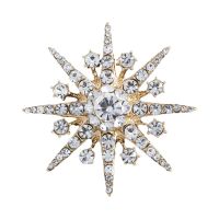 【cw】 New High-end Rhinestone Star Brooch Sparkling Lapel Pin Fashion Jewelry Brooches for