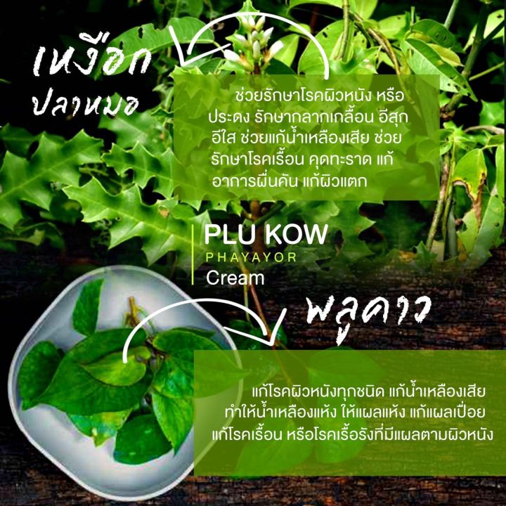 โปรพิเศษ-ครีมพลูคาว-พญายอ-ขนาด-40ml-2-หลอดราคาพิเศษ-เหมาะกับผู้ที่มีปัญหาโรคผิวหนัง-แก้สิวเม็ดผดผื่นคัน-รักษาเริม-งูสวัด