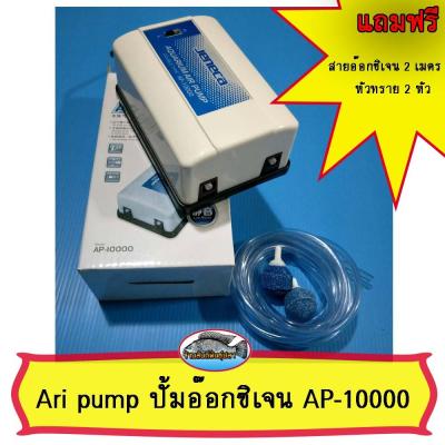 ปั้มอ๊อกซิเจน(ปั้มลม) Air Pump AP 10000