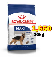 Royal Canin Maxi Adult ขนาด 10 กิโลกรัม สำหรับสุนัขโต สายพันธ์ใหญ่ อายุ 15 เดือน–5 ปี Exp:07/2024