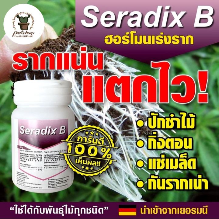 ฮอร์โมนเร่งราก Seradix B เซราดิกซ์ บี แท้100% | Lazada.co.th