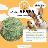 cỏ khô afafa 500gr dành cho thỏ bọ sóc baby dưới 6 tháng tuổi