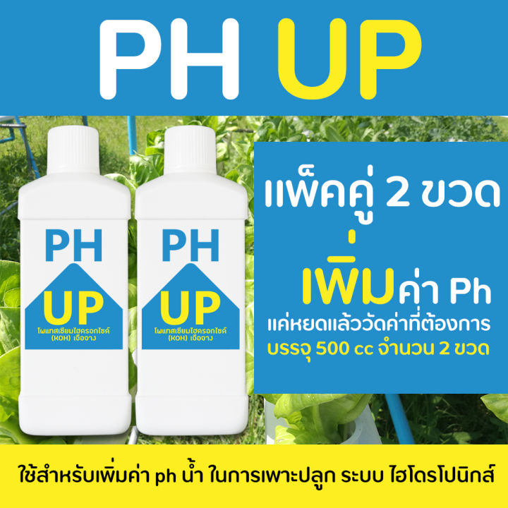 ph-up-500-ml-จำนวน-2-ขวด-เพิ่มค่า-ph-ในน้ำ-สำหรับผักไฮโดรโปนิกส์