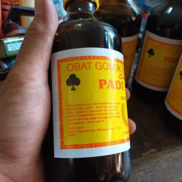 Jual Arak Gosok Padi Mas Terbaru Mar 2024 Lazada .id