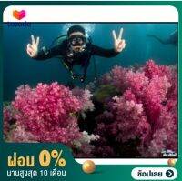 [ผ่อน 0%] คอร์สเรียนดำน้ำ Advanced Open Water Diver / Advanced SCUBA Diving Course