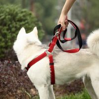 【CW】 Chest-back Rope Collars Harnesses Leads Dog Collar and Leash Set Big Harness Wears Necklaces Training Medium