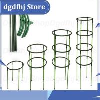 Dgdfhj Shop 4Pcs Plastic Plant Support Pile Orchid Stand Holder For Flowers Semicircle Greenhouses Fixing Rod Holder Bonsai