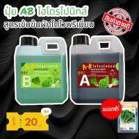 ปุ๋ยไฮโดรโปนิกส์ ปุ๋ยAB ปุ๋ยน้ำ ปุ๋ยผักสลัด สำหรับปลูกผัก (Hydroponics )ขนาด1000ML แถมฟรีเมล็ด New สูตรใหม่ล่าสุด