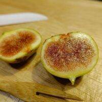 Figs ต้นมะเดื่อฝรั่ง ทาบกิ่ง พันธุ์ Inca gold (อินคาโกลด์) อร่อย หวาน หอมมากๆ ต้นสมบูรณ์มาก รากแน่นๆ จัดส่งพร้อมกระถาง 6 นิ้ว ลำต้นสูง 45-50 ซม