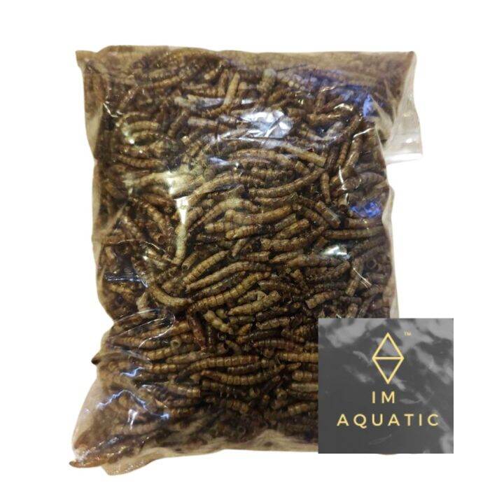 Freeze Dried Mealworm for Arowana, Hamster, Reptiles Lazada