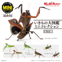 (100 ดีมาก) Bandai Original Gashapon แมลงจำลอง Mantis Grasshopper Action Figures ของเล่นสะสมเครื่องประดับรุ่นเด็ก Gift