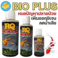 [ยาปลา] ยา RQ BIO PLUS แบคทีเรียย่อยสลายของเสีย เศษอาหารตกค้าง ทำให้น้ำใสสะอาด 500cc