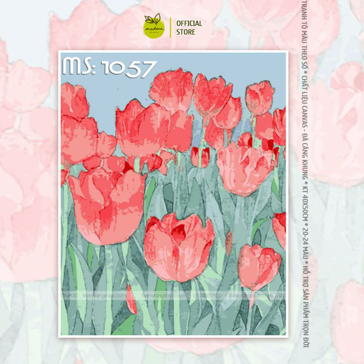 Tổng hợp với hơn 305 vẽ vườn hoa tulip hay nhất  Tin Học Vui