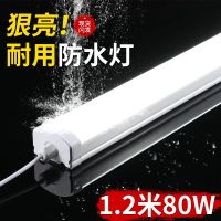 led waterproof lamp tube IP65 integrated strip outdoor three-proof lamp cold storage workshop bathroom car wash shop lighting