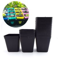 20/50pcs mini Plastic Black Color Flower Square Pots Garden Planters Small Planting Nursery pot for Succulent plants veg