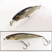 12g/10cm Fishing lure minnow 3D skin eyes ikan anak belanak joran bait hook  Floating minnow