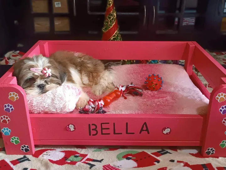 WOODEN DOG AND CAT BED WITH 2 URATEX FOAM W/COVER Lazada PH