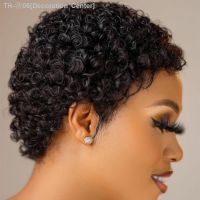 Short Curly Hair Wigs Pixie Cut Remy Brazilian Human Hair Wigs For Black Women 180 Density Glueless Afro Kinky Curly Wig [ Hot sell ] Decoration Center