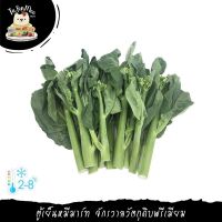 ***Please press the delivery fee in front of the shop./กรุณากดค่าส่งที่หน้าร้านค้า*** 250G-1KG/PACK คะน้าฮ่องกง คัดเกรด CHINESE KALE (F)