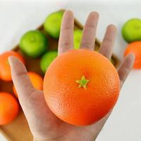 [พร้อมส่งจากไทย] ส้มปลอม ขนาดเท่าของจริง พร้อมส่ง จากไทย พร็อพถ่ายรูป ราคาต่อ 1 ชิ้น