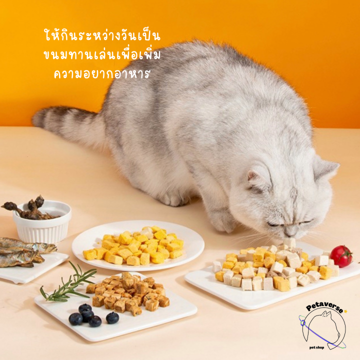 petaverse-petshop-ขนมฟรีซดราย-ขนมอบแห้ง-ทรงลูกเต๋า-สำหรับน้องแมว-หมา-มีให้เลือก-7-รสชาติ