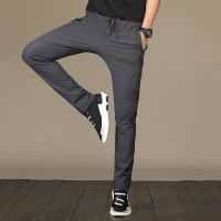 2023 New Summer Pants Casual Pants Men Solid Color Business Fashion Slim Fit Stretch Gray Thin Trousers Male Brand Clothing