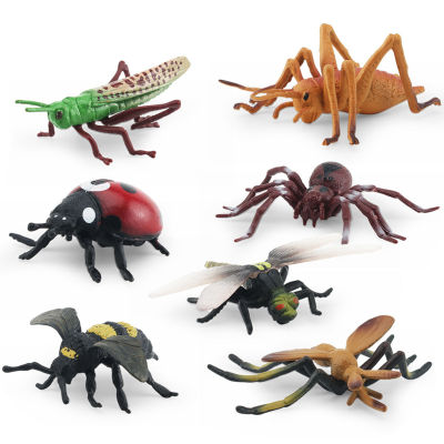 หุ่นแมลงจำลองการกระทำเหมือนจริงของเล่นความรู้ความเข้าใจผีเสื้อแมลงปอชุดโมเดลเด็กสำหรับเป็นของขวัญ