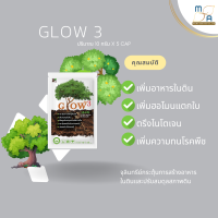 Glow3 โกล3 กระตุ้นการเจริญเติบโต แตกใบ ป้องกันโรคพืช ปรับสมดุลพืช ตรึงไนโตเจน ลดการใช้ปุ๋ย กระตุ้นใบ