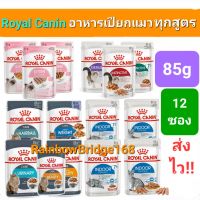 Royal Canin Cat Wet Pouch 85g x 12 Packs โรยัลคานิน อาหารเปียกแมว 85 กรัม ครบทุกสูตร 12 ซอง