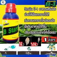 น้ำยาเร่งราก **ฉลากใหม่ B-Start** ขนาด 1ลิตร ทีเร็กซ์ บี-สตาร์ท เร่งการแตกราก รากแข็งแรง ช่วยให้พืชแตกรากได้ดี อาหารเสริม