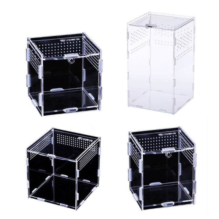 Insect Feeding Transparent Container Acrylic Terrarium for Spiders ...