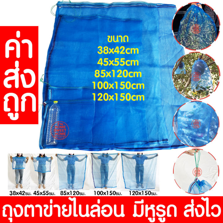 ค่าส่งถูก-กระชังตั๊กแตน-2x3m-ฟ้า-กระชังแมลง-กระชัง-กระชังบก-กระชังเลี้ยงตั๊กแตน-กระชังเลี้ยงแมลง-ตั๊กแตน-ปาทังก้า-เลี้ยงตั๊กแตน