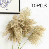 Stiup 10Pcs ธรรมชาติขนาดใหญ่ Reed Grass Bunch ช่อดอกไม้แห้งของตกแต่งงานแต่งงาน