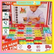 Bộ đồ chơi domino kèm học toán 110 chi tiết