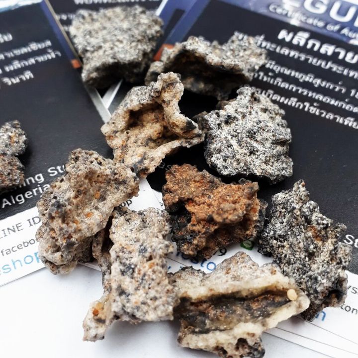 ฟูลกูไรต์-fulgurite-หรือผลึกสายฟ้า-เกิดจากฟ้าผ่าที่ทะเลทรายซาฮาร่า-ขนาดเล็ก-จำนวน-1-ชิ้น