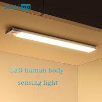 Ultra-thin Smart Led Human Body Induction Rechargeable Long Bar Magnetic Suction Self-adhesive Wine Cabinet Light Bar