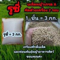 Wow Wow++ #เมล็ดหญ้ารูซี่ 3 กก.รับประกันการงอก คัดเมล็ด พร้อมปลูกปี65 คุณภาพเกรด A #หญ้ารูซี่ #เมล็ดพันธุ์หญ้ารูซี่ #ruzigrass ราคาถูก ต้นไม้ฟอกอากาศ กระถางต้นไม้ ไม้ประดับ ต้นไม้ปลูกในบ้าน