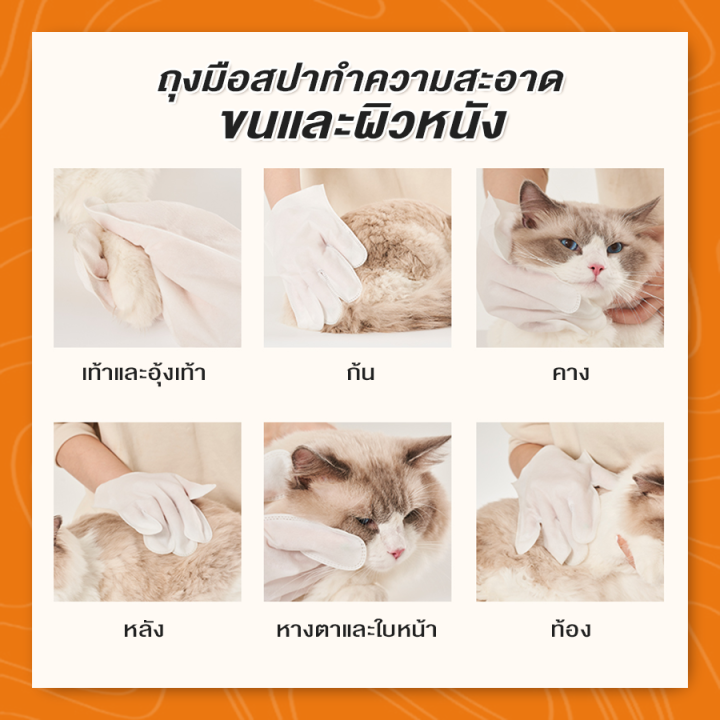 ถุงมือสปา-ถุงมือสปาขนแมว-ถุงมือทำความสะอาดขนแมว-ถุงมืออาบน้ำแมว-cat-needs-ลดกลิ่นสาป-ฆ่าเชื้อแบคทีเรีย-เชื้อรา-เชื้อยีสต์-spa-amp-clean-glove-petitz