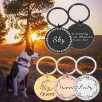 ◎♙ Personalized Cats Collar Harness Dog ID Tags Free Engraving Dogs Chain Name Plate Number Address Puppy Pet Supplies Dropshipping