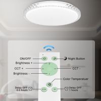 ZZOOI AC 110V or 220V Smart Chandelier LED Ceiling Light Lamp Brightness Dimmable 24W  for Bedroom Living Room Ceiling Light Lamp