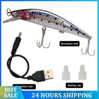 Fishing Lures Electric Simulation Twitching Bionic Bait USB Rechargeable Artificial Bait Swimbait Fishing Tackles Crankbait