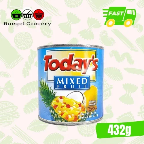 Today's Fruit Cocktail 432g Salad Mix Lazada PH